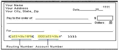 Picture of a US Void cheque example